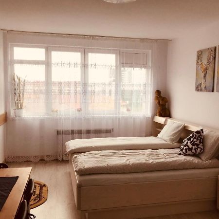 Studio 1O1O1 Apartment Piatra Neamţ Екстериор снимка