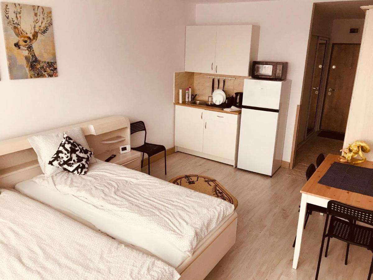 Studio 1O1O1 Apartment Piatra Neamţ Екстериор снимка