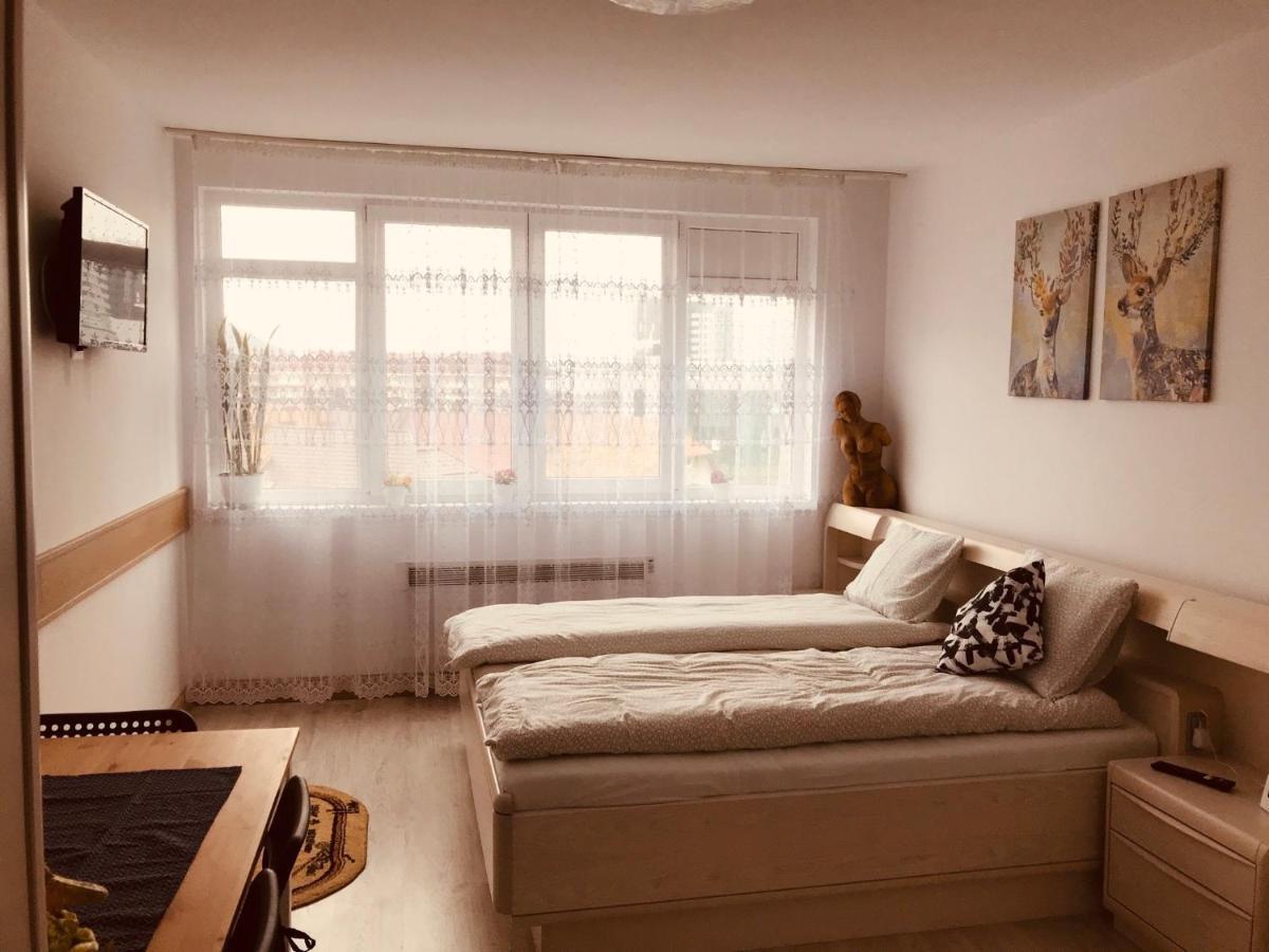 Studio 1O1O1 Apartment Piatra Neamţ Екстериор снимка