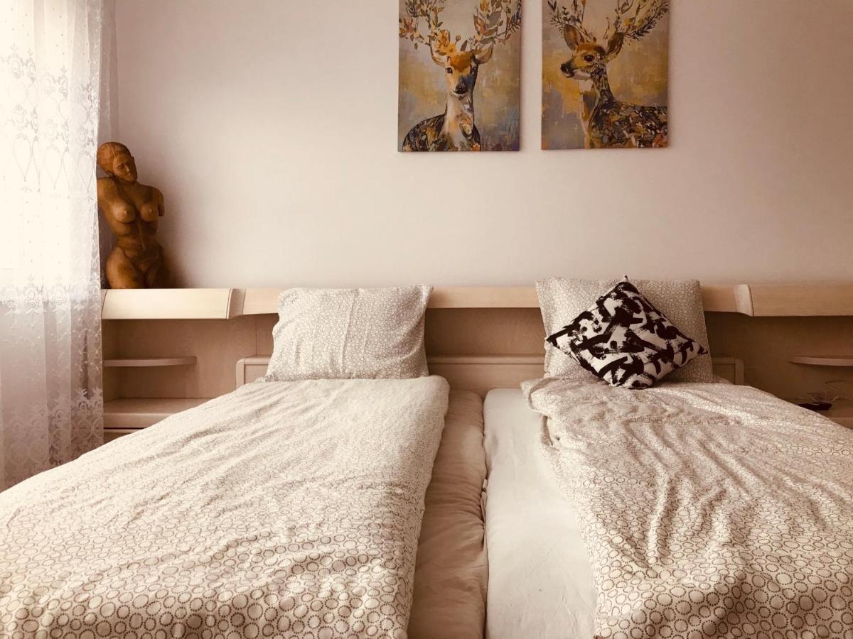 Studio 1O1O1 Apartment Piatra Neamţ Екстериор снимка